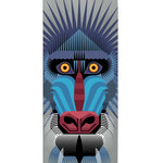 Baboon